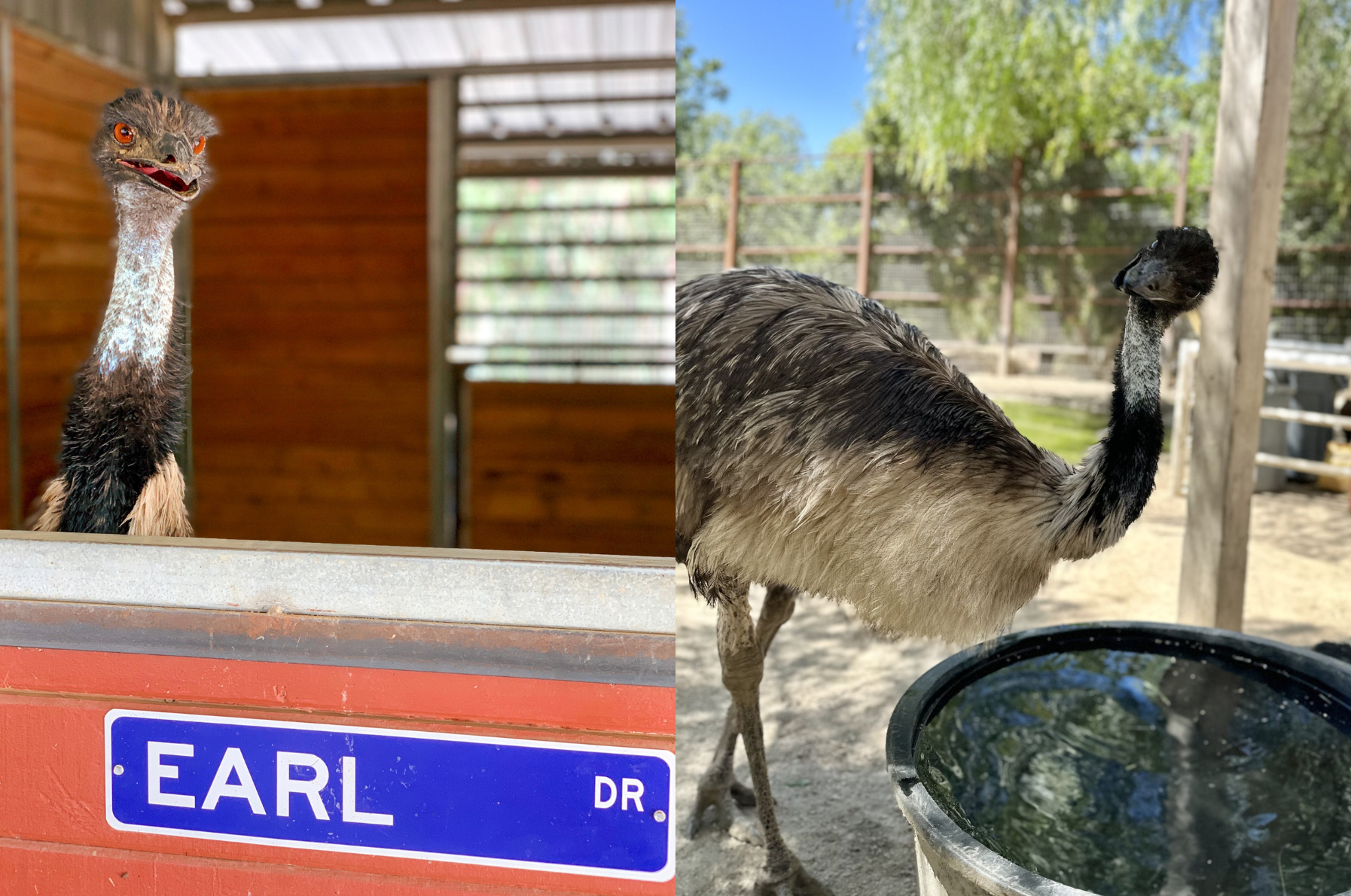 Earl%20Photos.png